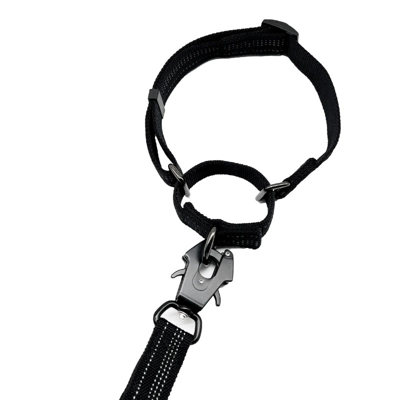 dog collar and leash dog collar and leash