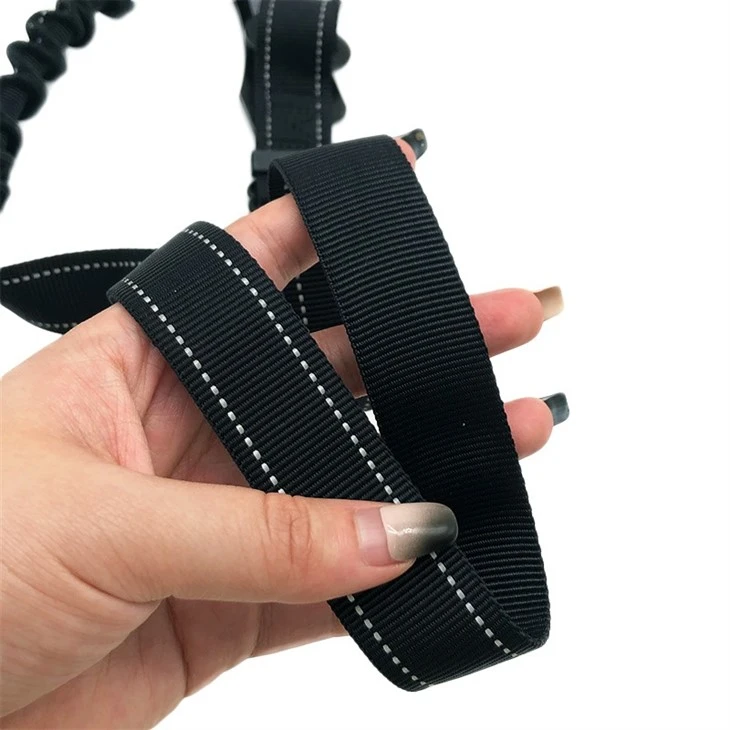 seatbelt dog leash